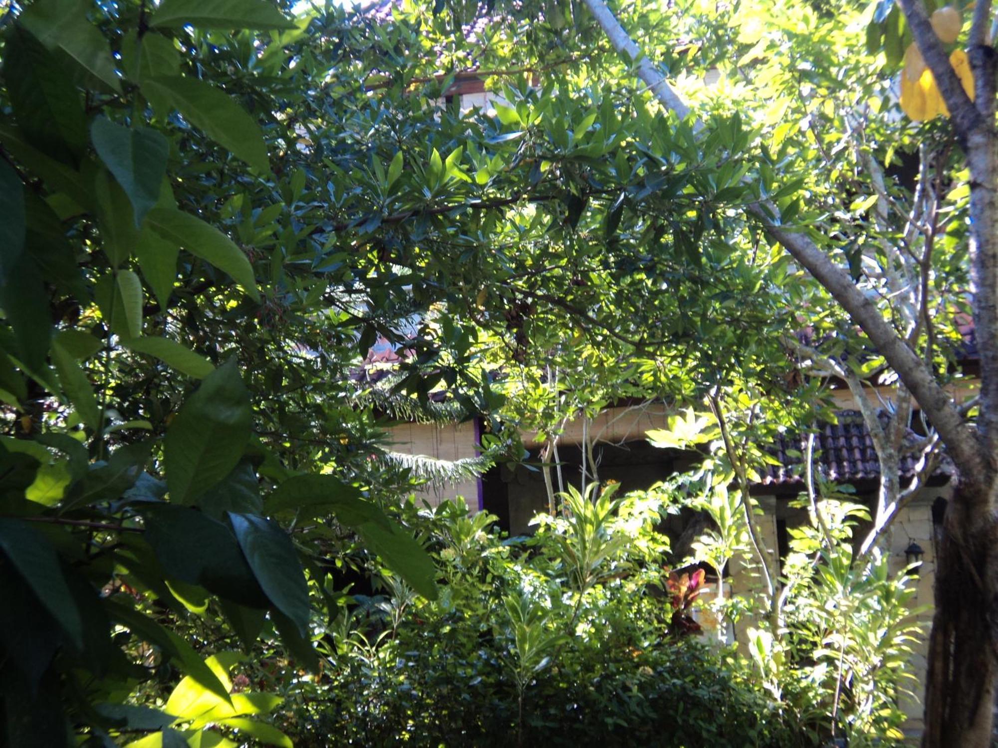 Villa Bhuana Alit Убуд Екстериор снимка